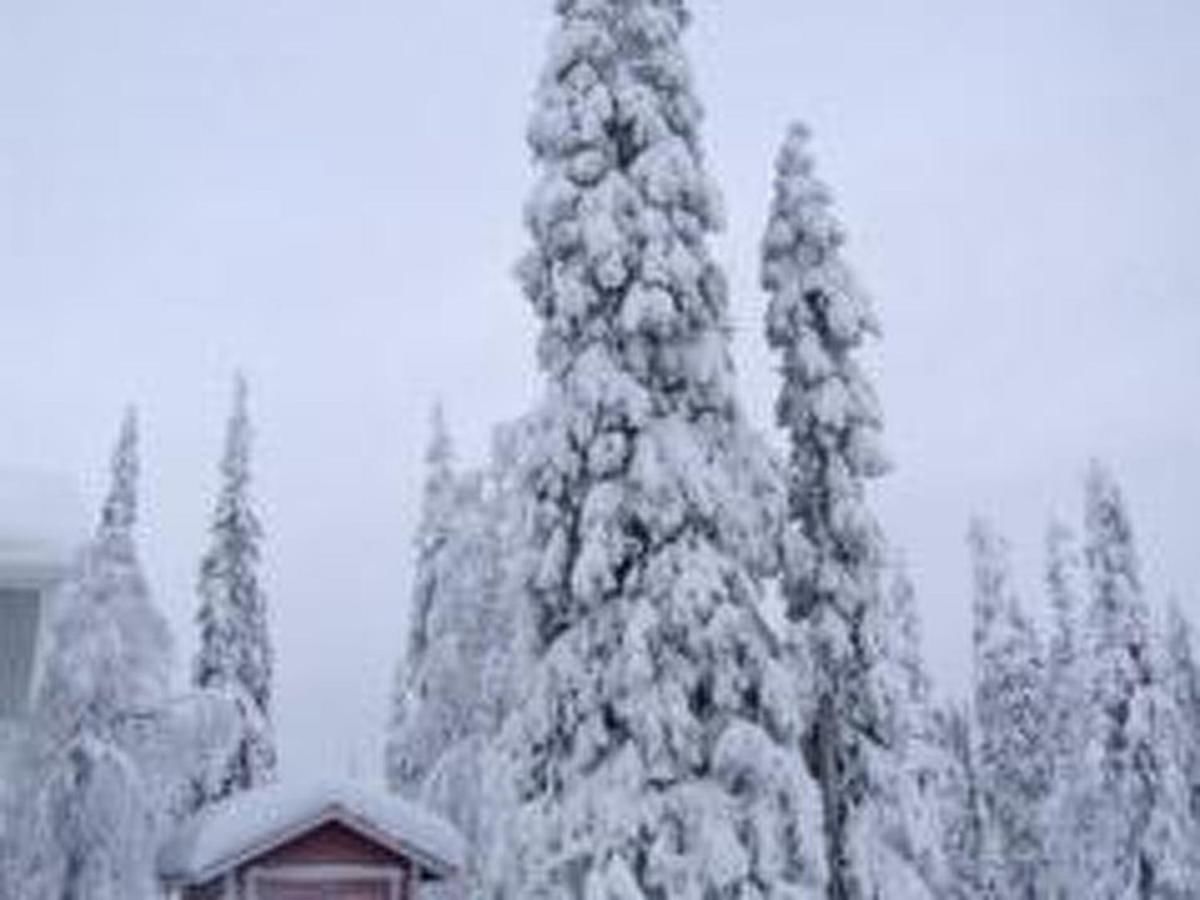 Дома для отпуска Holiday Home Ruka snow & sun 1 Рука