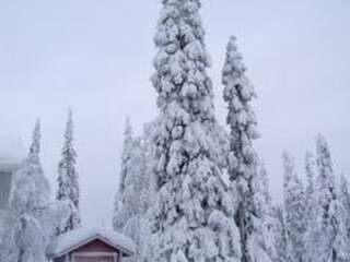 Дома для отпуска Holiday Home Ruka snow & sun 1 Рука Дом для отпуска-16